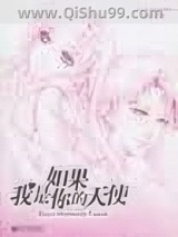 如果我是你的天使小说