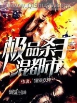 极品杀手混都市小说