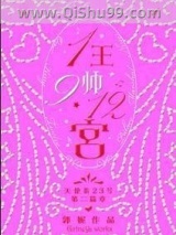 1王9宫12帅小说