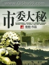 市委大秘小说