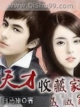 天才收藏家小说