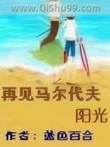 再见马尔代夫阳光小说