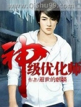 神级优化师小说