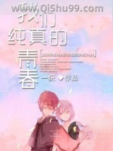 我们纯真的青春小说