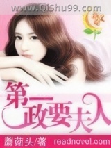 第一政要夫人小说