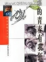 谁的青春有我狂小说