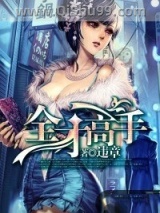 全才高手小说