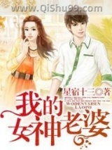 我的女神老婆小说