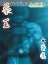 拳王小说