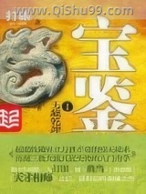 宝鉴小说