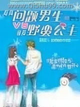 问题男生VS野蛮公主小说