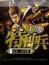 王级特种兵小说