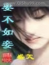 妻不如妾小说