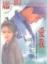 爱我不必太痴心小说