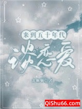 来到五十年代谈恋爱小说