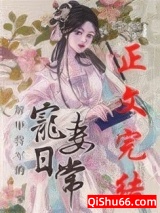 解甲将军的宠妻日常小说