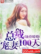 蚀骨暖婚，总裁宠妻100天小说
