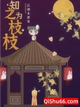 知之为枝枝小说