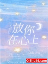放你在心上小说