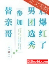 替亲哥参加男团选秀后爆红了小说