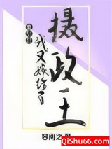 重生后我又嫁给了摄政王小说