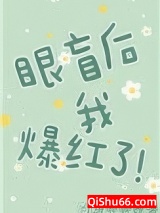 眼盲后我爆红了小说