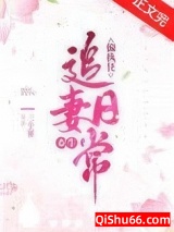 偏执狂追妻日常（重生）小说