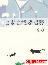 七零之我要招赘小说