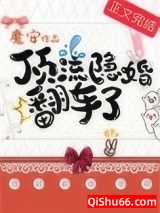 顶流隐婚翻车了小说