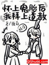 怀上鬼胎后我拜上道教小说