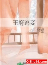 王府逃妾小说