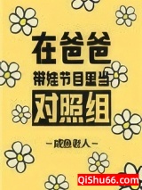 在爸爸带娃节目里当对照组小说