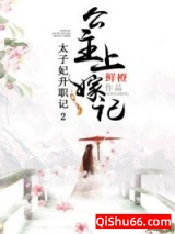 太子妃升职记2：公主上嫁记小说