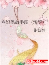 宫妃保命手册[清穿]小说