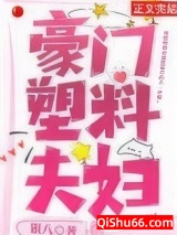 豪门塑料夫妇小说