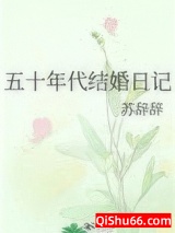 五十年代结婚日记小说
