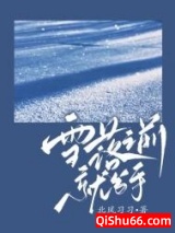 雪落之前就分手小说