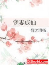 宠妻成仙小说