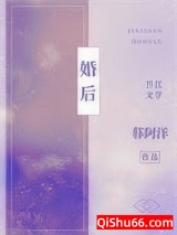 婚后小说