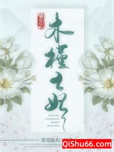 重生之木槿王妃小说