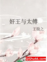 奸王与太傅小说