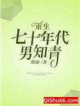 重生七十年代男知青小说