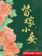 替嫁小妾重生后小说