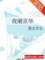 夜阑京华小说