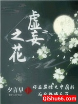 虚妄之花小说