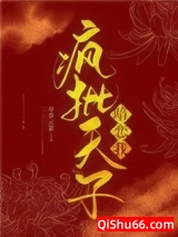 宫锁雀翎小说