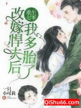 重生七零：改嫁悍夫后我多胎了！小说