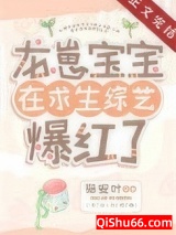 龙崽宝宝在求生综艺爆红了小说