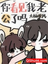 你看见我老公了吗小说