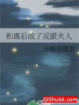 和离后成了反派夫人小说